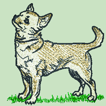 Chihuahua - Smooth Coat (WD055) - Click Image to Close